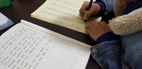 我當(dāng)小導(dǎo)游校園作文