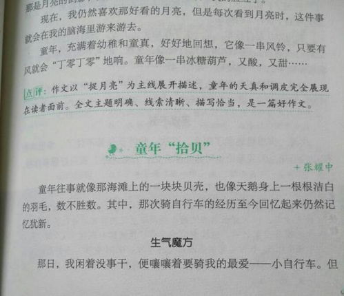 校園里發(fā)生的一件事作文700