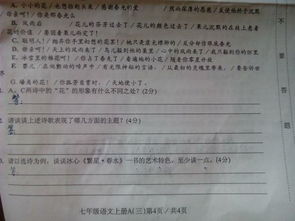 校園里的春天天500字作文