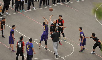 記校園籃球比賽作文800字,關于校園籃球比賽的作文,觀看校園籃球比賽作文