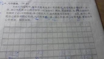 校園晨跑作文600字四級(jí)