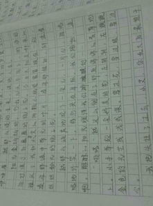 校園美麗整潔的作文150字