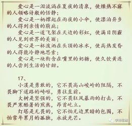 作文《讓愛灑滿校園》800字