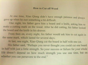 關于對校園愛情的看法的英文作文