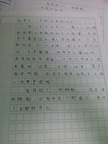 校園的花園這篇作文怎么寫(xiě)