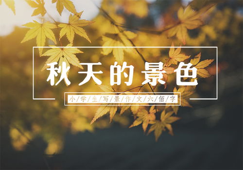 校園里秋天的景色作文二級(jí)