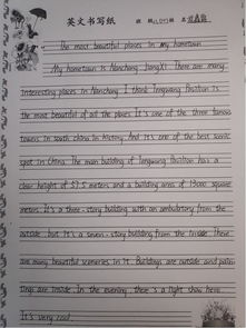 作文,英語(yǔ),運(yùn)動(dòng)會(huì),校園