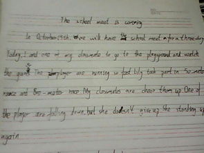 校園運(yùn)動(dòng)會(huì)英語(yǔ)作文范文