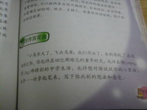 小學校園文明作文800字以上