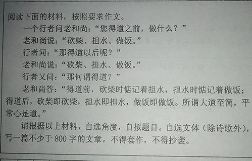 校園抗疫作文800字