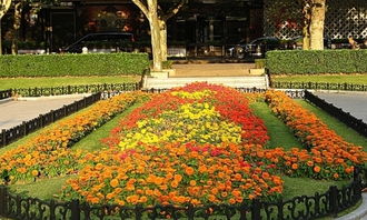 寫一扁校園的花壇按春夏秋冬的作文