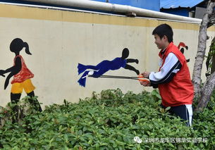關(guān)于愛護校園的一草一木的作文,愛護校園的一草一木作文350字,校園里的一草一木作文400