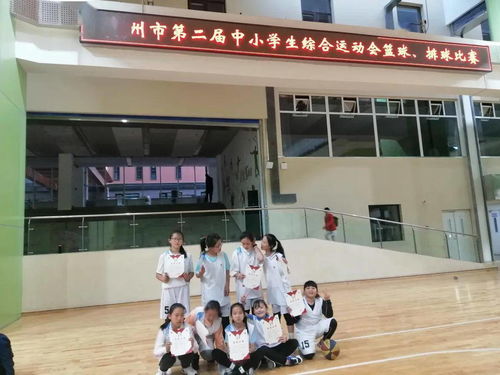 我的校園作文,實(shí)驗(yàn)三小校園作文,美麗的三小校園作文400字