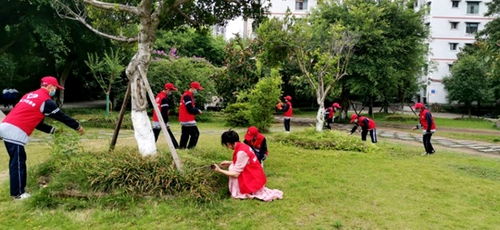 保護(hù)生態(tài)環(huán)境建設(shè)美麗校園作文