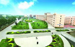 我的校園作文600字春夏秋冬