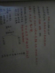 美麗的校園寫(xiě)景作文空間順序