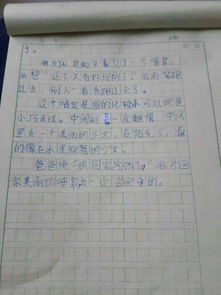 寫一處校園的風(fēng)景作文四百字作文