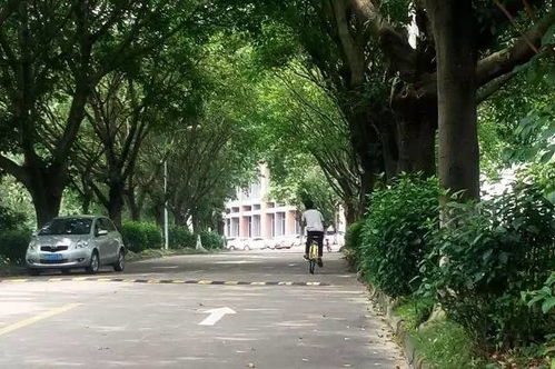 如何成為校園里的一道風(fēng)景作文