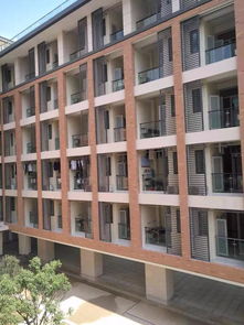 校園宿舍樓作文