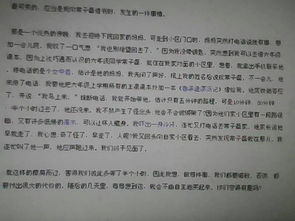 校園見證我的快樂作文700字