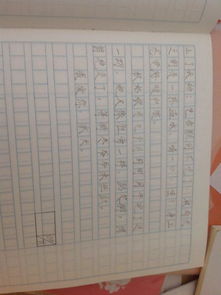 掃雪,作文,爸爸,媽媽