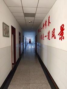 愛護環(huán)境共建美麗校園作文