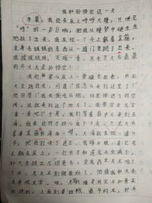 孫悟空來(lái)到校園的作文