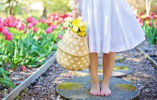 校園的春天高一作文800字作文大全