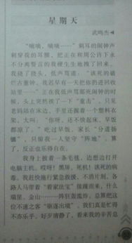 今校園真熱鬧300字作文