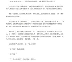 中考優(yōu)秀作文校園二三事