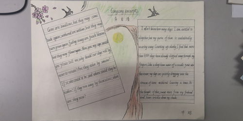 作文,文化活動(dòng),英語,校園