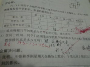 作文,教學樓,校園,遠到近