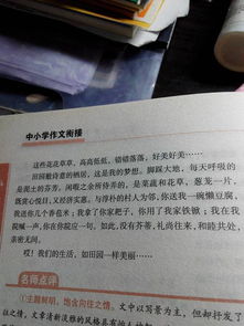 寫(xiě)一次校園活動(dòng)的作文500字,寫(xiě)一次校園活動(dòng)的作文400字,寫(xiě)一次校園活動(dòng)的作文450