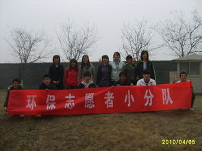 以綠化環(huán)保打造綠色校園為主題的作文