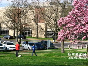 小學(xué)生校園早春作文