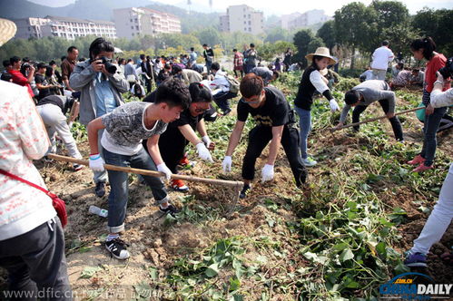 校園秋收活動展作文怎么寫