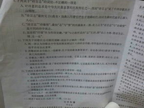 校園里的中國(guó)文化名人畫廊作文