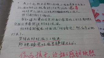 校園真情作文600字