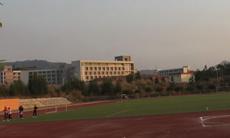 《校園新氣象》作文