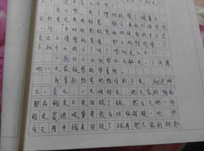 記敘文,作文,二三,校園