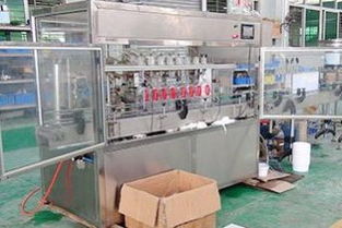 看校園足球賽作文500字