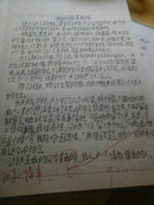 有趣的校園生活600字作文