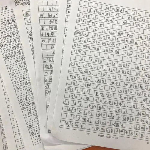 享受校園的樂趣作文