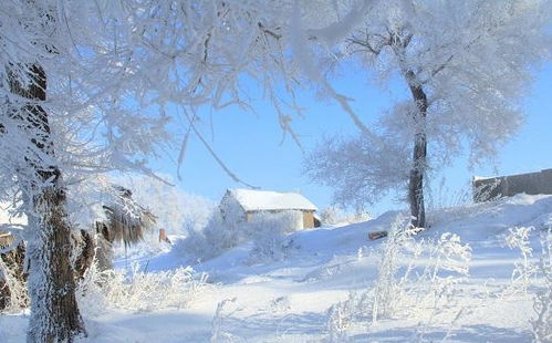 寫校園景色冬天的作文二級(jí)