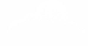 ……的春風(fēng)吹進(jìn)了校園作文