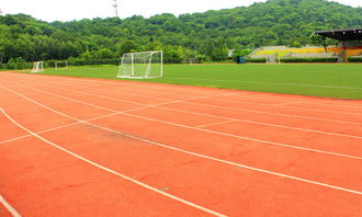 校園里有這么一個有趣的地方操場作文六百字