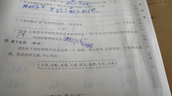 校園開心的一件事600字作文怎么寫