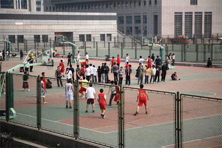 校園一景操場初二作文