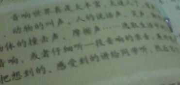 校園的笑聲作文小學(xué)生作文