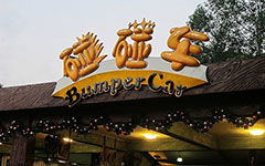 校園碰碰車(chē)作文400字